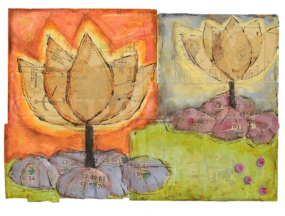 lotus afloat